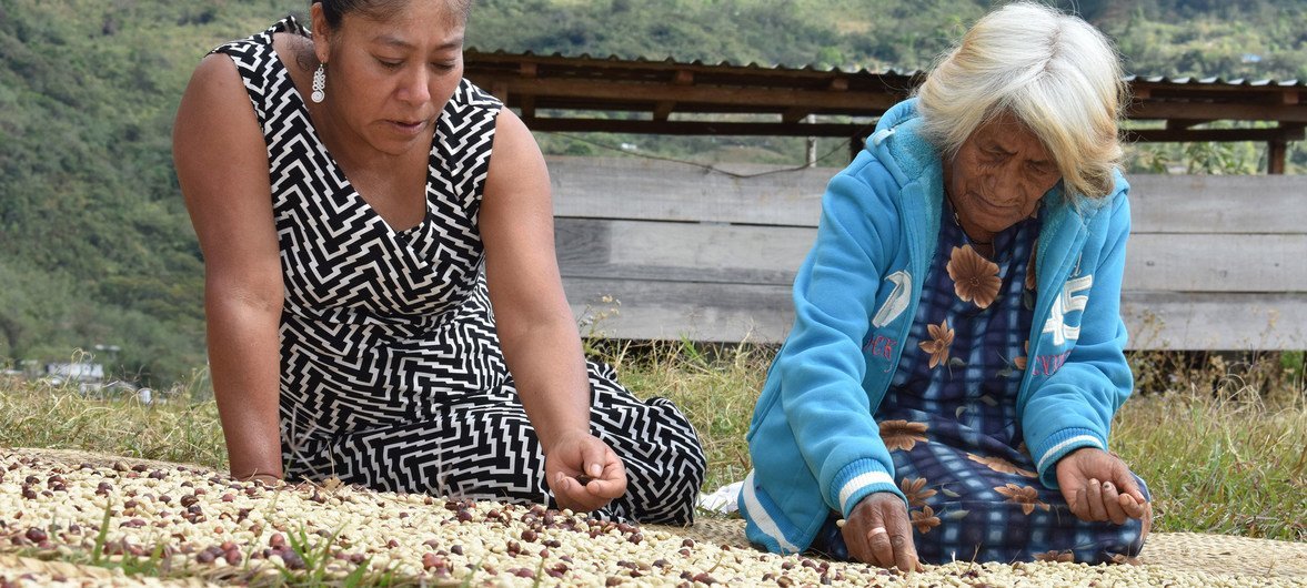 indigenas covid al
