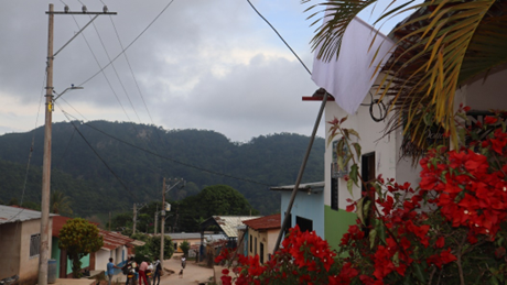 sur debolivar